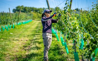 Introducing Goulburn Valley Designated Area Migration Agreement | GV DAMA